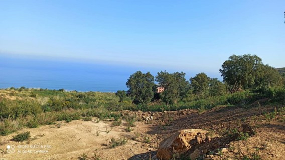 1908_Vente terrain bejaia, ache el baz, 200 M.jpg